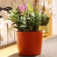 thumbnail image 3 of Self-Watering Pot With Automatic Watering For Healthy Roots, Time-Saving Solution For Indoor Outdoor Usage, Leak-Proof Design Ensures No Mess In Your Living Space, Decorative, 3 of 5