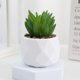 thumbnail image 1 of Xiao Hua 3 plantas artificiales en maceta, pequeñas plantas falsas en maceta, miniplantas artificiales de escritorio para interior, granja, oficina, mesa, estante, decoración de baño (A37), 1 of 5