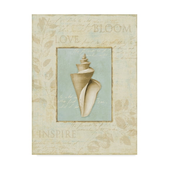 Trademark Fine Art 'Soothing Words Shells III' Canvas Art by Lisa Audit