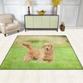 thumbnail image 3 of Coolnut Golden Retriever Running On Grass Lightweight Carpet Mats, 5'3" x 4' Area Soft Rugs, Floor Mat Rug Home Decoration for Kids Room Living Room, 63"x 48", 3 of 6