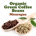 thumbnail image 4 of Organic Nicaragua Arabica Green Coffee Beans, 1.5 Pounds – Unroasted, No-GMO, Vegan, Bulk – by Food to Live, 4 of 7