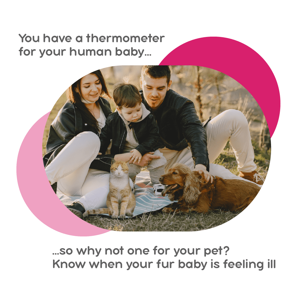 Non-Invasive Underarm Pet Thermometer by Mella Pet Care