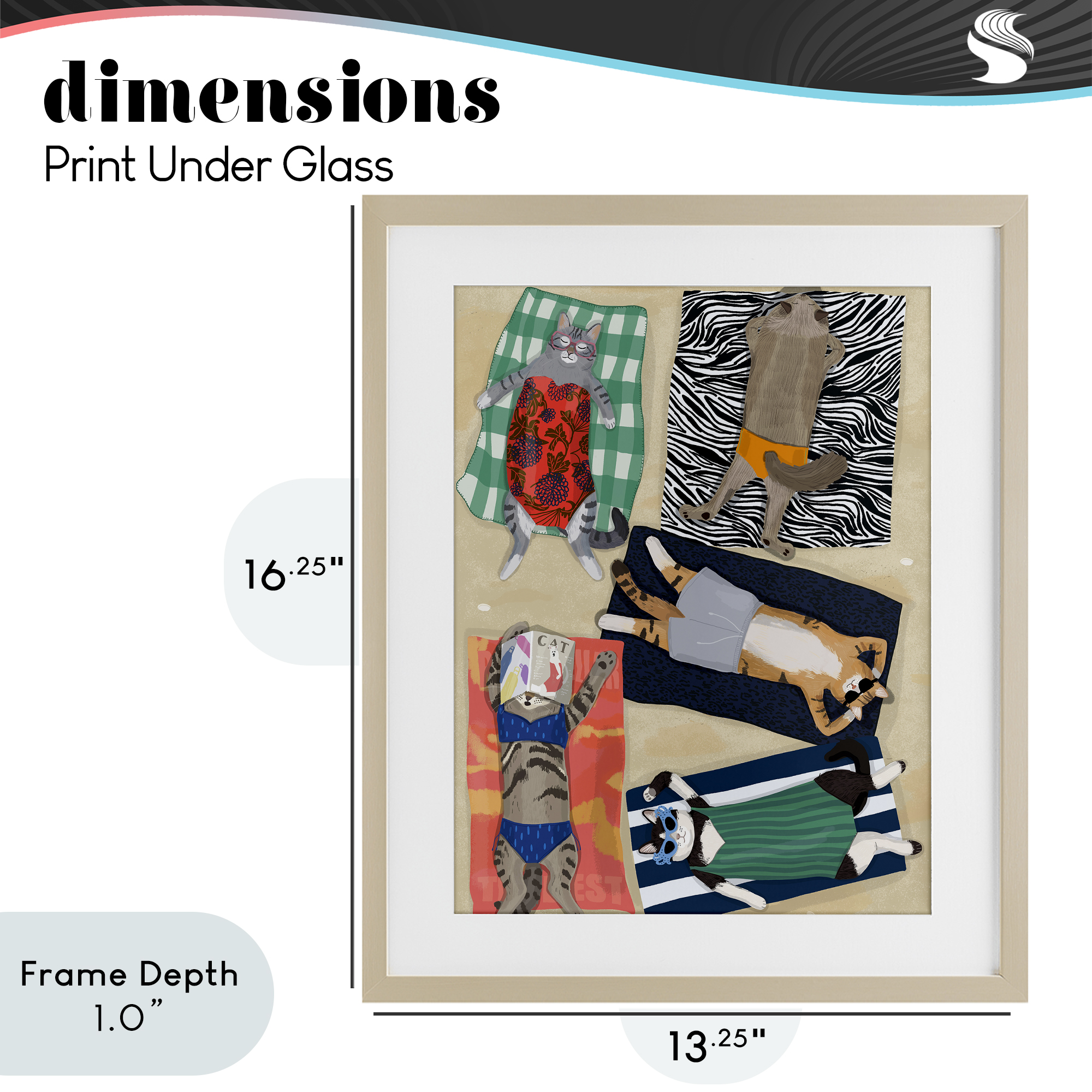 Stupell Industries Summer Sunbathing Cats Birch Framed Print Under Glass, design by Hanna Melin