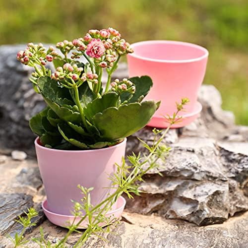 10 Pcs Plastic Planters Indoor Flower Plant Pots, Mini Flower Seedlings Nursery Pot/Planter/Flower Pot with Pallet, Modern Decorative Gardening Containers (Pink)