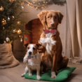 thumbnail image 3 of Mumup Christmas Dog Collar with Bow, Adjustable Red Green Plaid Dog Collars with Removable Bowtie Christmas Collars for Large Dogs Pets, 3 of 5