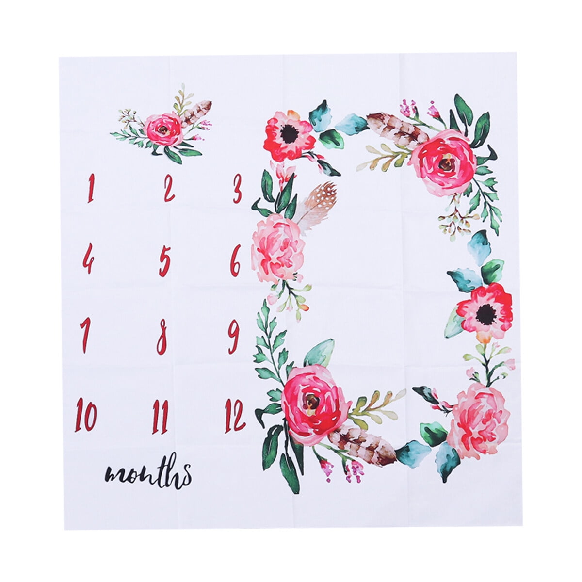 Baby milestone blanket Monthly Milestone Blanket Newborn Photography