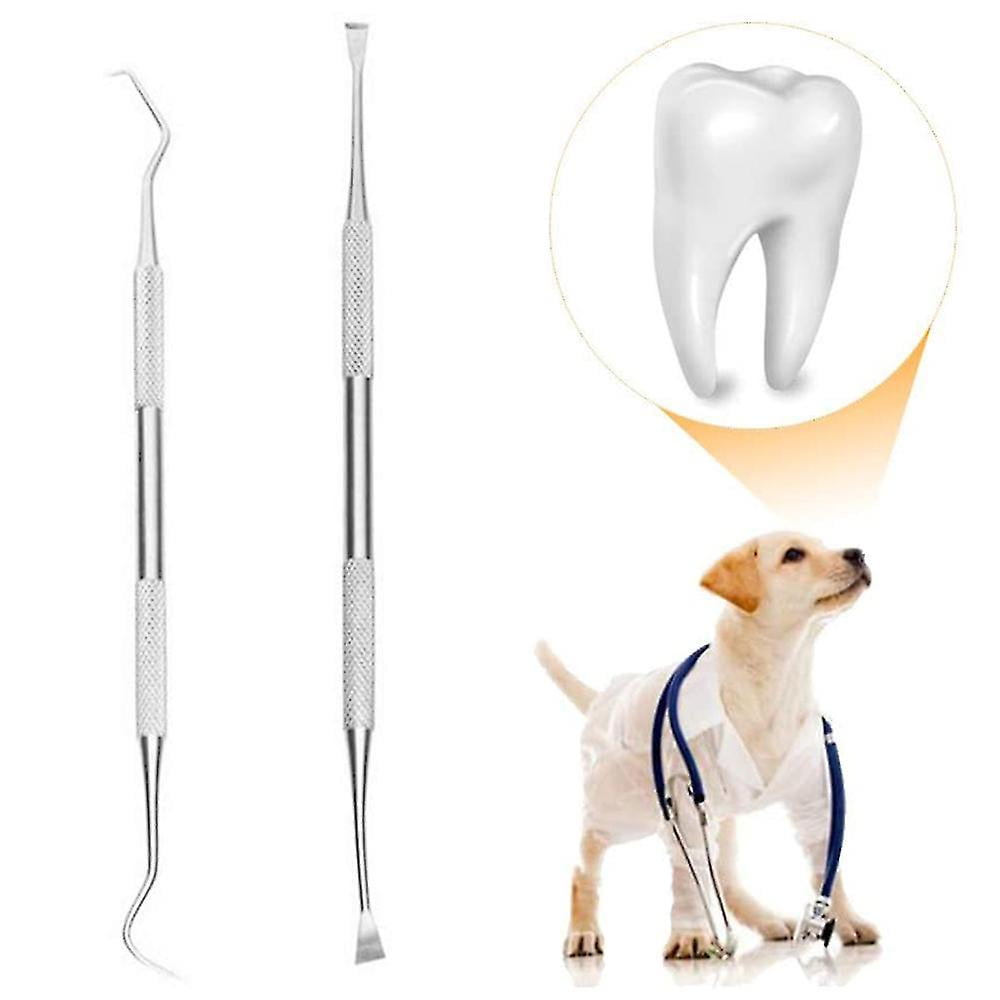 Dog teeth cleaning tools online