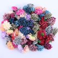 thumbnail image 2 of 5/10/20 piezas de minicabezales de flores de hortensia artificiales para manualidades, claveles, fiestas, hogar, habitación, boda, Navidad, decoración de coronas DIY, 2 of 5