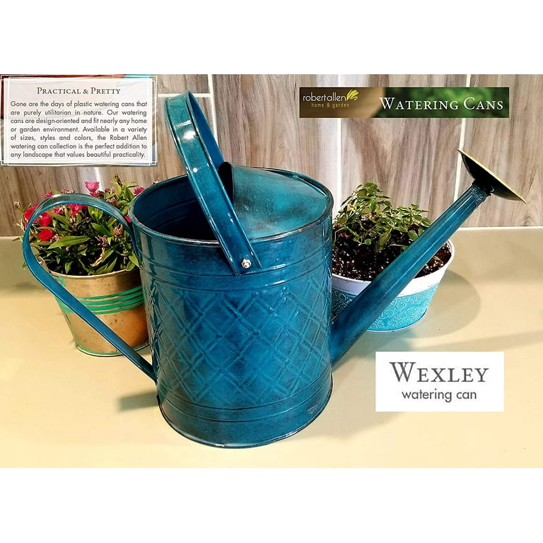 Robert Allen Mountain Waves 2 gal Metal Wexley Watering Can Robert Allen Mountain Waves 2 gal Metal Wexley Watering Can