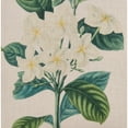 thumbnail image 4 of Saro Lifestyle Gardenia Design Poly Filled Throw Pillow, 4 of 5
