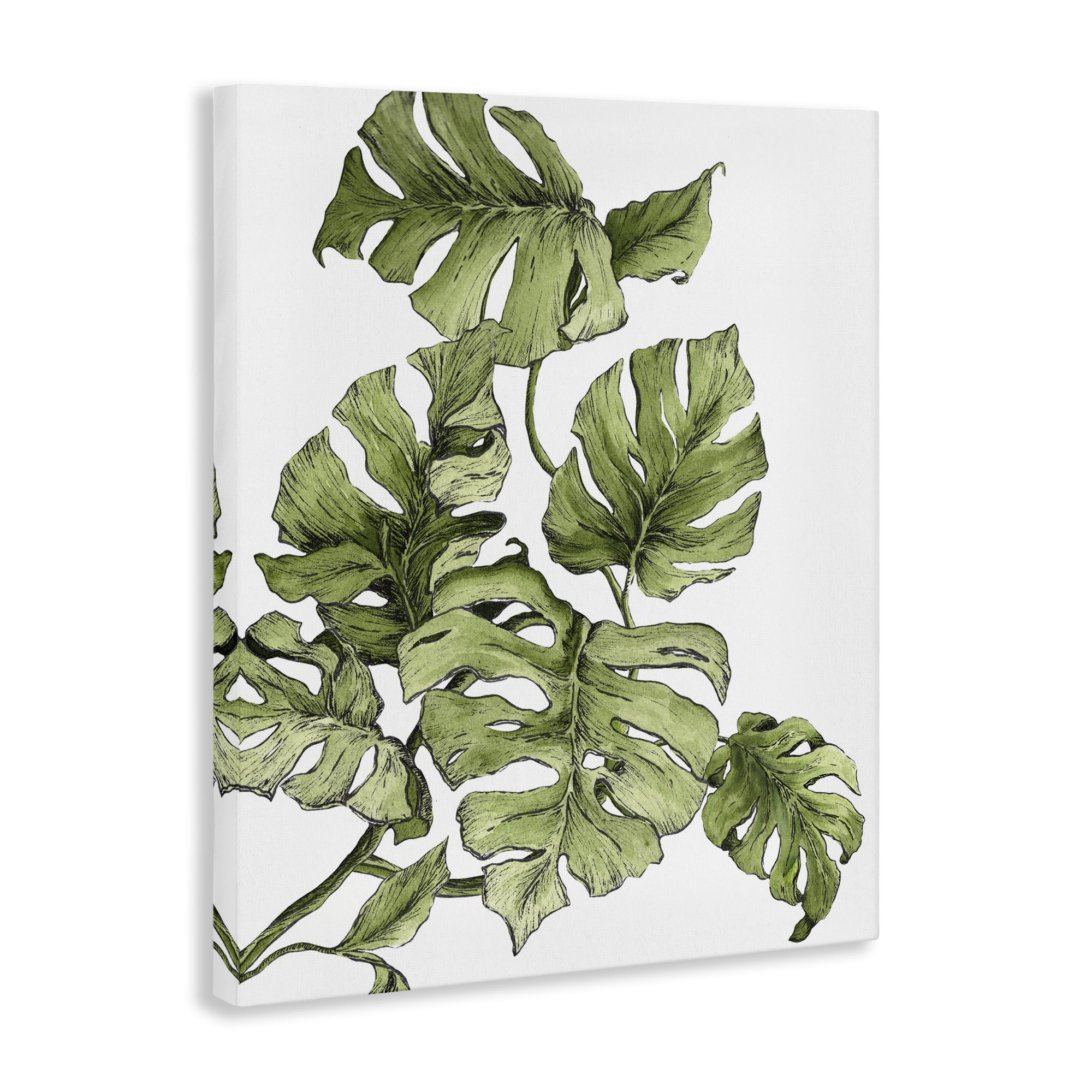 Stupell Industries Falling Monstera Leaves Botanical & Floral Painting Gallery Wrapped Canvas Art Print Wall Art, 16 x 20