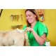 thumbnail image 2 of Cepillo Slicker Firme Mediano Andis para Mascotas, 2 of 4