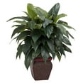 thumbnail image 2 of Nearly Natural 35" Cordyline with Decorative Vase Polyester Artificial Plant, Green, 2 of 4