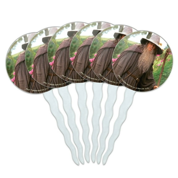 The Lord of the Rings Gandalf the Grey Character Cupcake Picks Toppers Decoration Set of 6