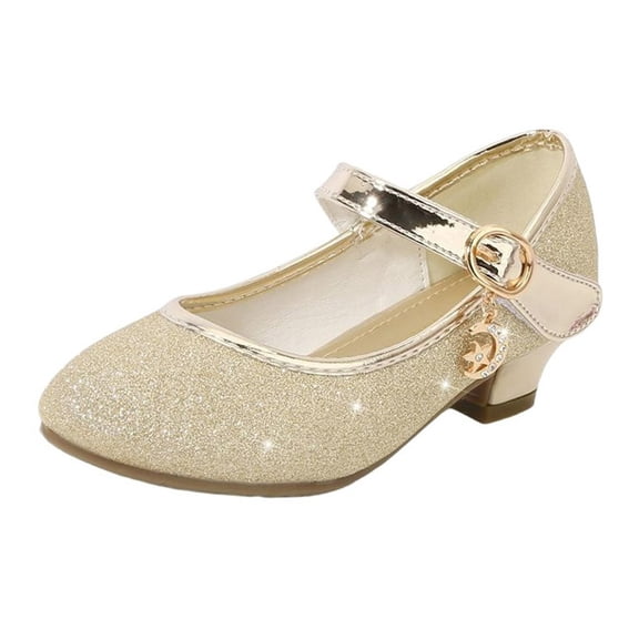 DeHolifer Girls Heels Dress Shoes Mary Jane Pumps Low Heel Princess Flower Wedding Party