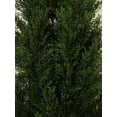 thumbnail image 3 of Two 5 Foot Outdoor Artificial Cedar Topiary Trees Potted Plants Two Peace Construction, 3 of 5