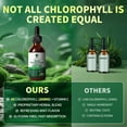 thumbnail image 4 of Vegan Chlorophyll Liquid Drops 200mg, Advanced Liquid Chlorophyll for Natural Cleansing & Immune Health, Internal Deodorant, Skin & Gut Health, Sugar-Free, Non-GMO, 1 Fl Oz - Mint Flavor, 4 of 7