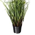thumbnail image 2 of Vickerman 24" Artificial Potted Green Grass and Eucalyptus., 2 of 6