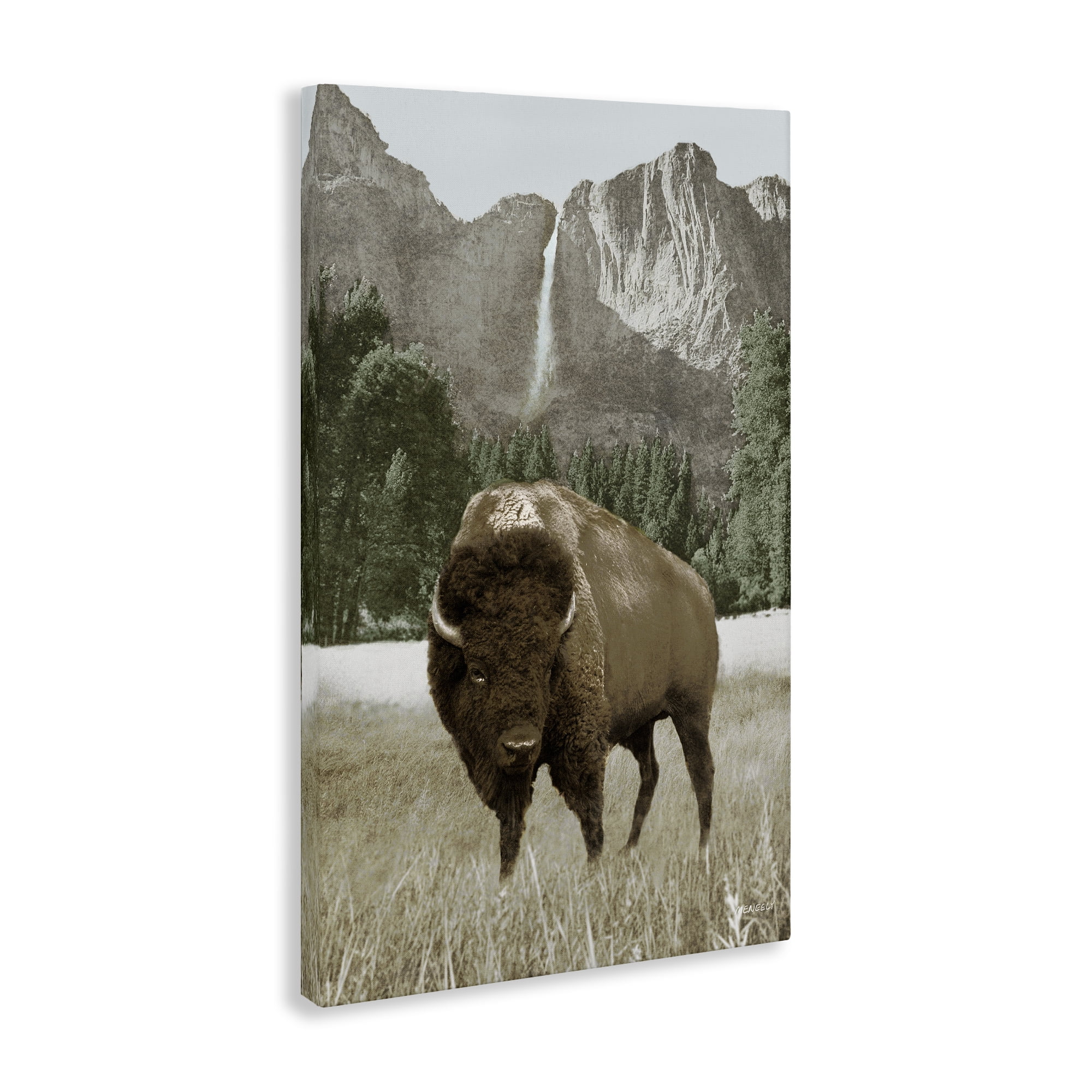 Stupell Industries Bison & Mountain Landscape Animals & Insects Photography Gallery Wrapped Canvas Art Print Wall Art, 24 x 36