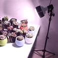 thumbnail image 1 of Garden Tools Grow Light Full LED Light For Indoor Plants Height Adjustable Growing Lamp With Auto On Dimmable Brightness, 1 of 9