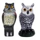 thumbnail image 4 of Moyic Búho Animal de dibujos animados Simulación Escultura Decoración Jardín Decoración de interiores Accesorios Artesanía Control de plagas, Jardín y Patio Búho chico chico Moyic HA005870-02, 4 of 6