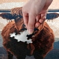 thumbnail image 4 of FREEAMG Highland Cow Jigsaw Puzzles for Adults 500 Piece, Puzzles for Adults 1000 Piece Challenging Kids Teens Family Puzzle Game, 4 of 7