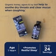 thumbnail image 2 of Sirope para la tos Mommy's Bliss Organic Kids Night Time 118 ml, 2 of 6