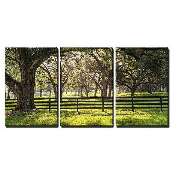 wall26 - 3 Piece Canvas Wall Art - Large Oak Tree Branch with Farm Fence in The Rural Countryside Looking Serene - Modern Home Art Stretched and Framed Ready to Hang - 24"x36"x3 Panels