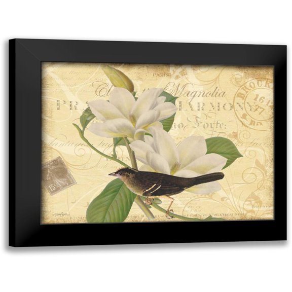Stimson, Diane 14x12 Black Modern Framed Museum Art Print Titled - Bird Magnolia
