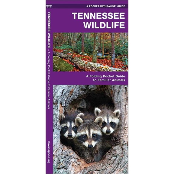 Wildlife and Nature Identification: Tennessee Wildlife : A Folding Pocket Guide to Familiar Animals (Other)