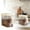 A, variant on Airtight Kitchen Storage Containers for Dry Food - Large Capacity Clear Canisters with Locking Lids for Efficient Pantry Organization