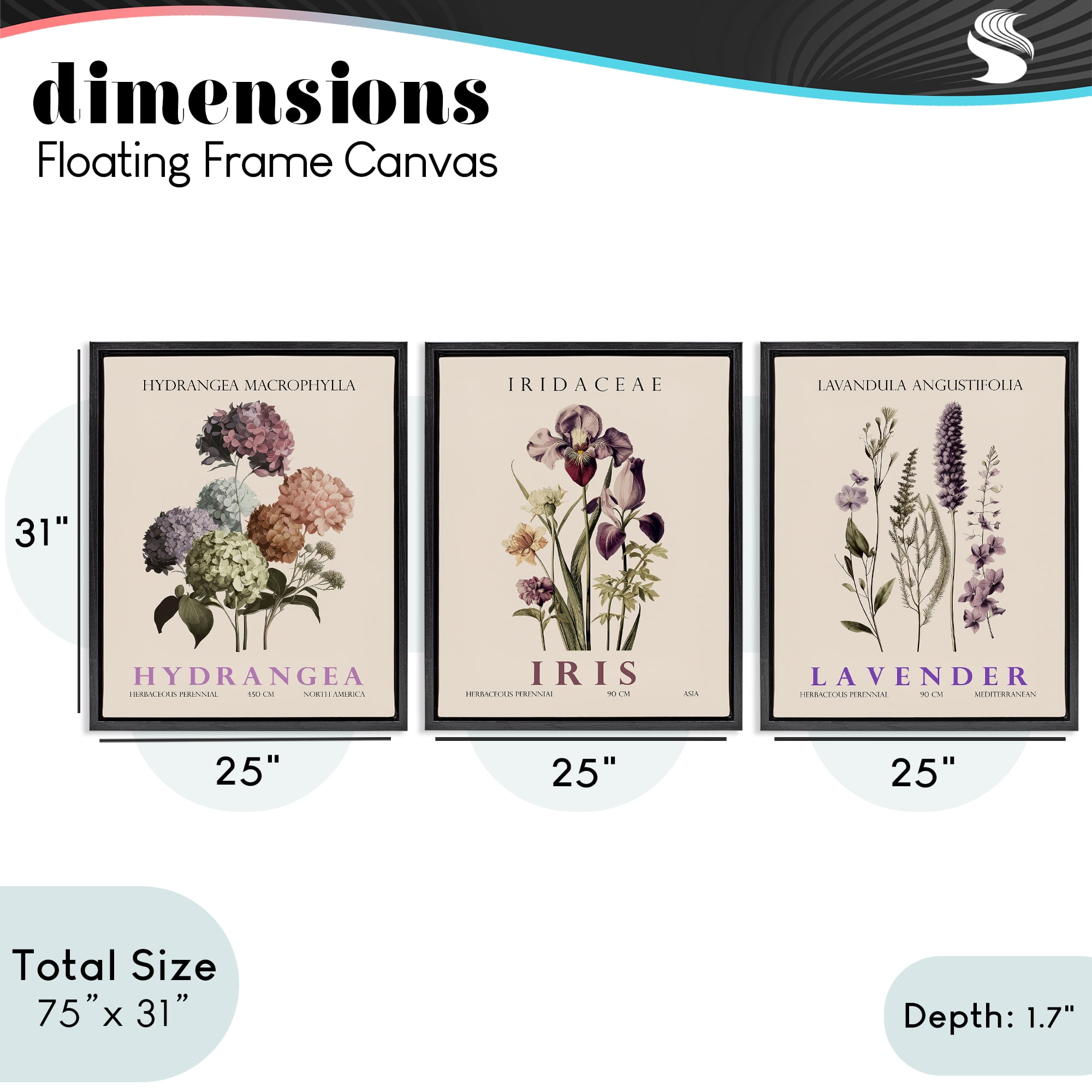 Stupell Industries Botanical Bundles & Sprigs 3 Piece Black Framed Floater Canvas Set, design by Christopher Giampietro