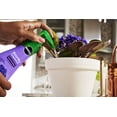 thumbnail image 7 of Miracle-Gro 2005901 Indoor and Outdoor Blooming House Plant Food 8 oz. Liquid, 7 of 7