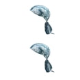 thumbnail image 3 of Soidarity Ciclismo diademas ciclista gorras verano transpirable Casual pañuelo pesca correr ropa de secado rápido cabeza Bandana Type5 NO5 Soidarity CBP289037, 3 of 6