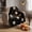 59.06in*39.37in,D, variant on Halloween Ghost Flannel Throw Blanket, Neutral Embossed Skull Ghost Bat Pumpkin Potion Bottle Pattern Soft Polyester Decorative Blanket For Sofa Bed Couch Fall Home Decor(27.6*39.4 in)E