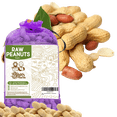 thumbnail image 1 of THE AMISH ECO-FARM | Raw Peanuts in Shell Fancy 5 lbs. (Great for Boiling, Squirrels and birds), 1 of 8