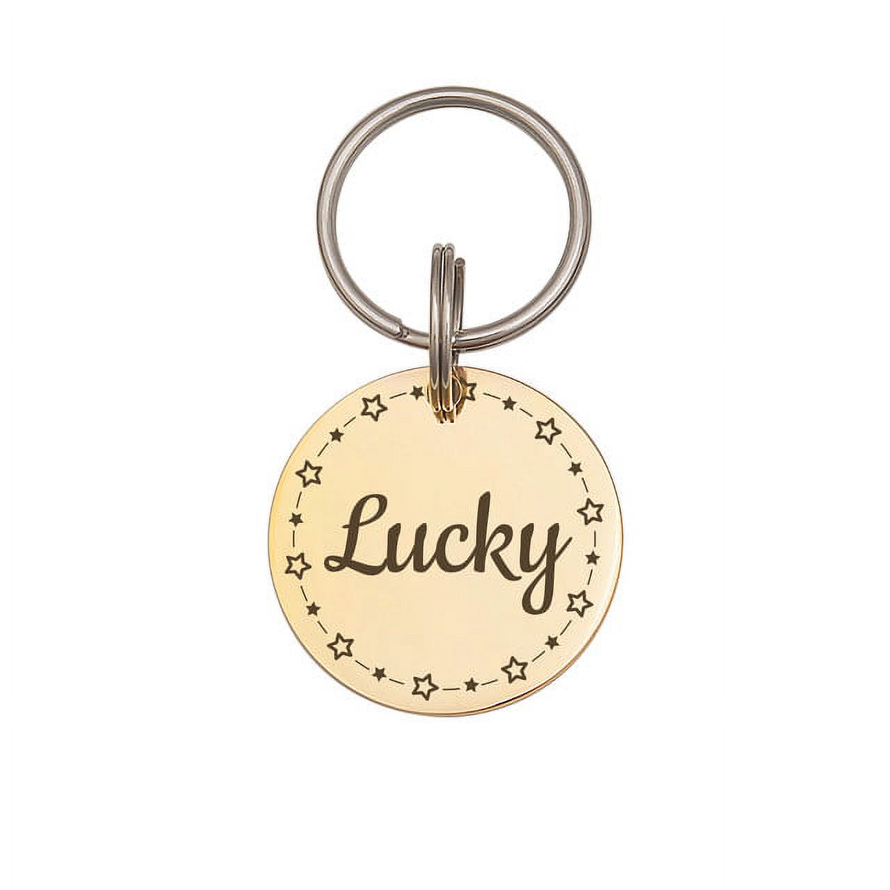 Anavia Stainless Steel Double Sided Round Name and Frame Engraved Dog & Cat ID Tag, Multi-color, L