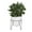 Green Solid Round 12" x 12" x 17", variant on DecMode 17" Artificial Eucalyptus Plant in Realistic Leaves and Metal Stand and White Pot