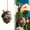 B, variant on ZTTD Forest Animal Acorn Ornaments Cozy Forest Christmas Ornaments, 2026 New Pine Cone Animal Decoration, Woodland Creature Hanging Ornament, Acrylic Hanging Ornament for Home Decor, 1PCS