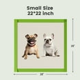 thumbnail image 3 of Nomipaw Dog Pee Pads Regular 22"x22", Thicker ECO Green Small Disposable Puppy Training Pads Super Absorbent Full Edge-Wrapping Pad for Dogs, Puppies, Doggies, Cats-(20 Count), 3 of 5