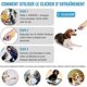 thumbnail image 2 of Clickers para perros con pulseras [Paquete de 4], Clicker de entrenamiento con forma de barco, Colorido y práctico, Clicker profesional para el entrenamiento de perros - Multicolor, 2 of 5