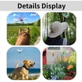 thumbnail image 6 of 12PCS Dragonfly Clip Bug Repellent, Outdoor Fake Dragonfly Rod Clip for Hat, 3D Artificial Realistic Garden Stakes Decor to Keep Flies Away for Indoor Patio by JEWLALO, 6 of 8
