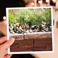 thumbnail image 7 of 3drose, Pembroke Welsh Corgi Dog, Flagstone Wall - Na02 Pwo0113 - Piperanne Worcester, 12 Greeting Cards with Envelopes, 7 of 7