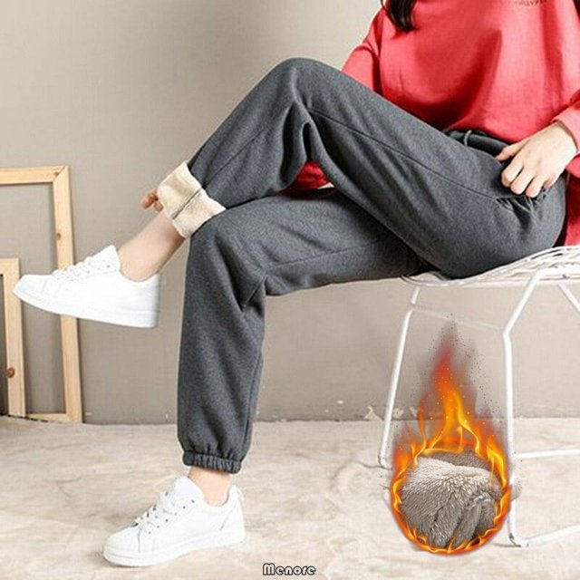 Pantalones gruesos de forro polar para mujer, pantalón Harlan informal, Pantalones rectos versátiles, pantalones de chándal cálidos hasta el tobillo, moda, nuevo