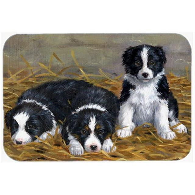 Border Collie Planche à Découper en Verre pour Chiots