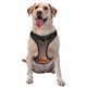 thumbnail image 1 of Fotbe Astronaut On Mars A Arnés para Perro con Estampado –Chaleco Ajustable Acolchado con Asa de Control para Perros Grandes-X-Large, 1 of 6