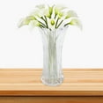 thumbnail image 1 of Dalazy Glass Flower Vase Holder Flowerpot Bunch Planters for Home Decor phoenix tail, 1 of 9