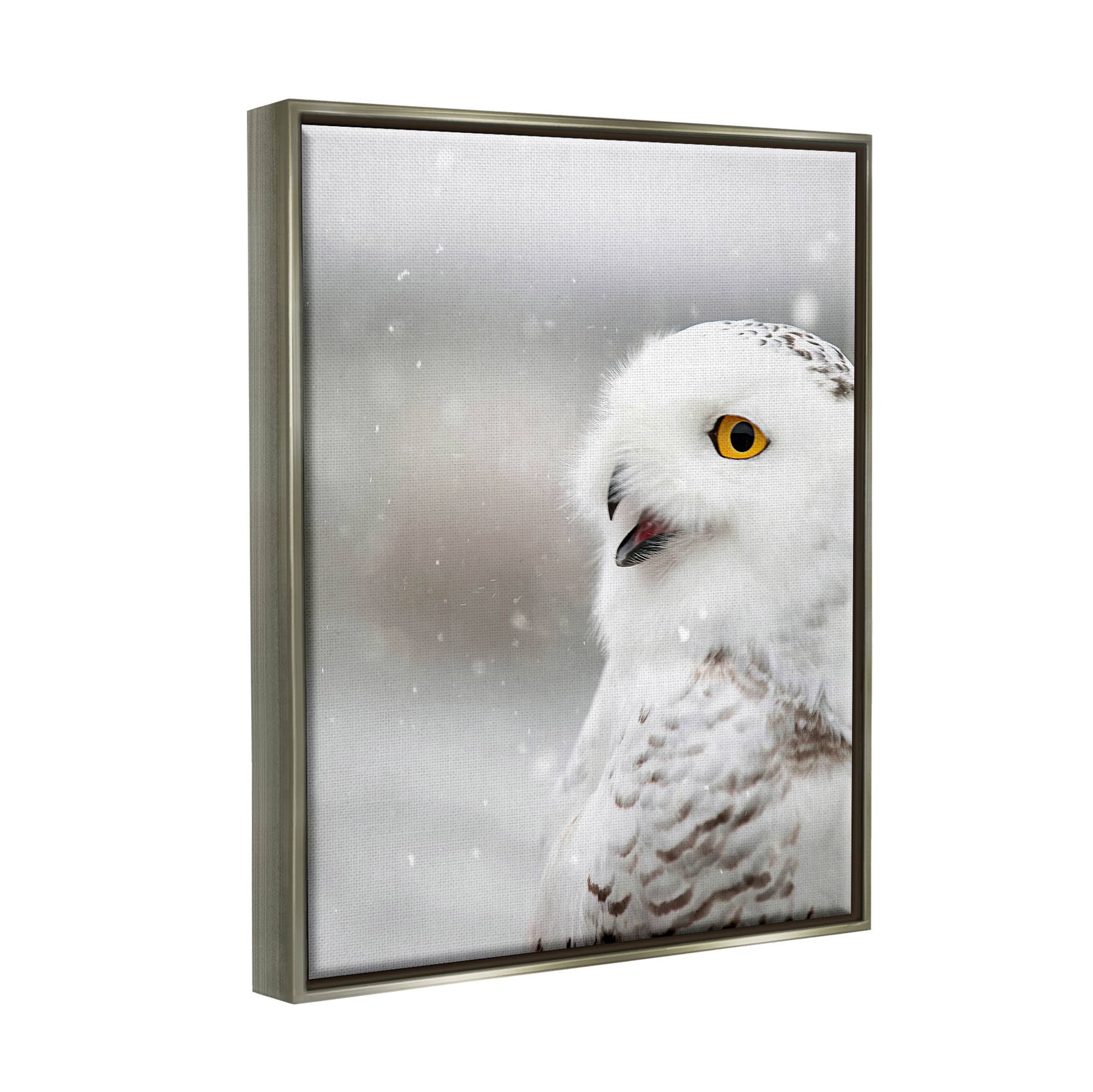Stupell Industries Snowy Owl Winter Gaze Photograph Luster Gray Floating Framed Canvas Print Wall Art, Design by Carrie Ann Grippo-Pike