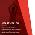 thumbnail image 5 of Protocol Garlic 5000 - 5,000 MCG Allicin - Enteric coated - Odor Controlled - 90 Tabs, 5 of 8