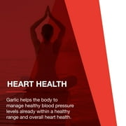 Protocol Garlic 5000 - 5,000 MCG Allicin - Enteric coated - Odor Controlled - 90 Tabs